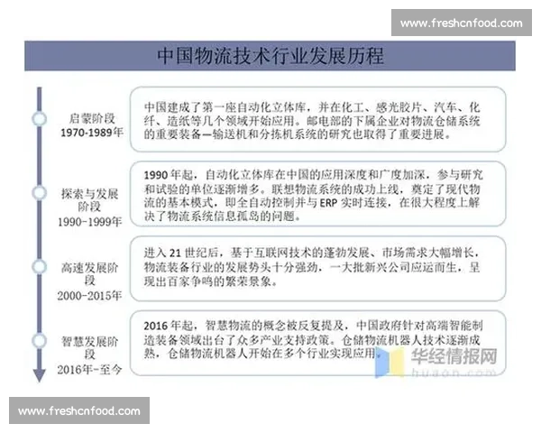 专为比赛设计的高性能篮球探索与发展趋势分析